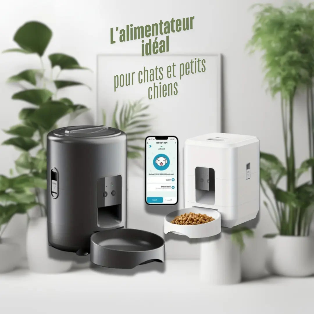 Distributeur de croquettes automatique - My Pet Kingdom