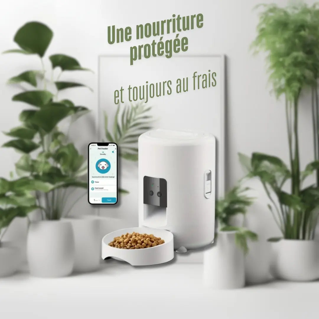 Distributeur de croquettes automatique - My Pet Kingdom