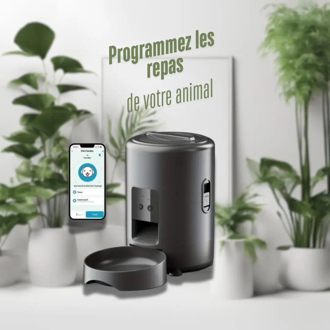 Distributeur de croquettes automatique - My Pet Kingdom