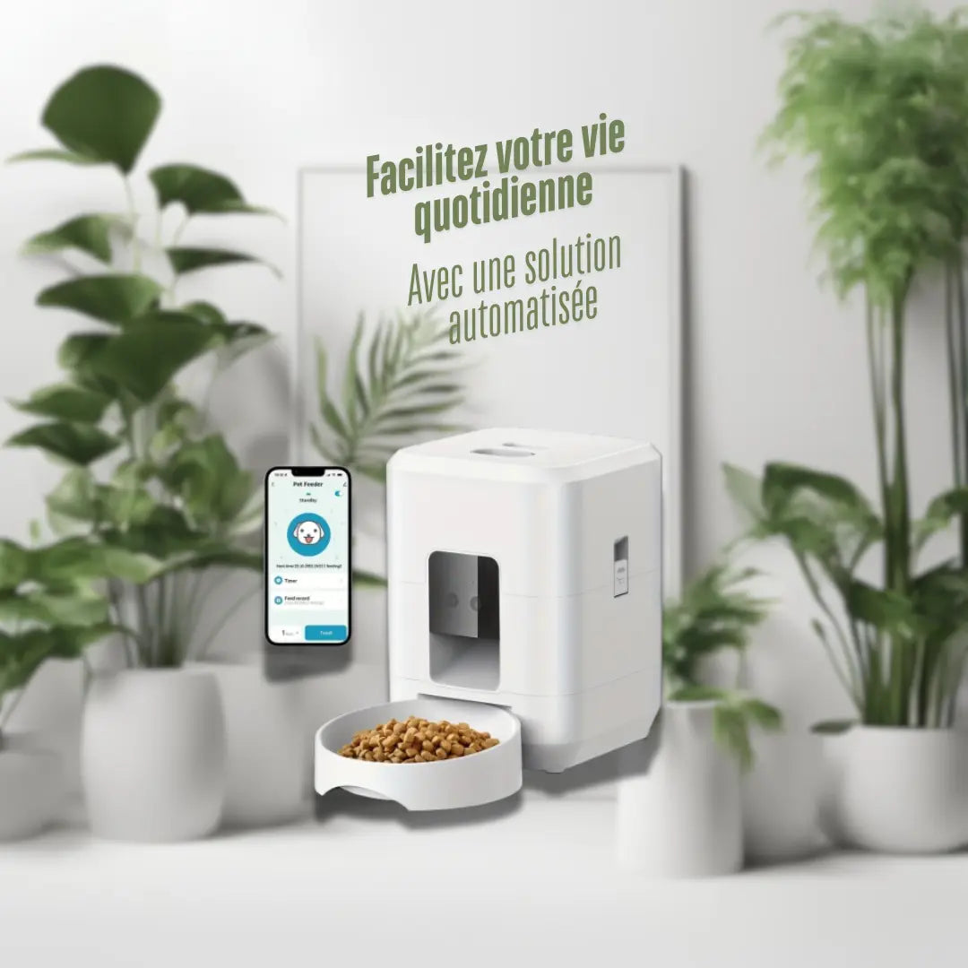 Distributeur de croquettes automatique - My Pet Kingdom