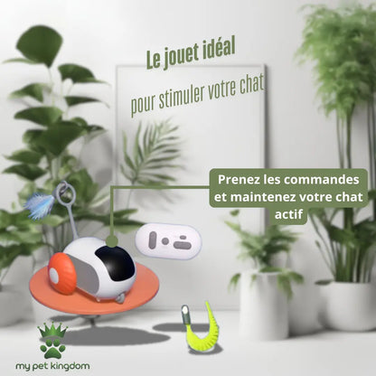 Jouet voiture télécommandée pour chat My Pet Kingdom