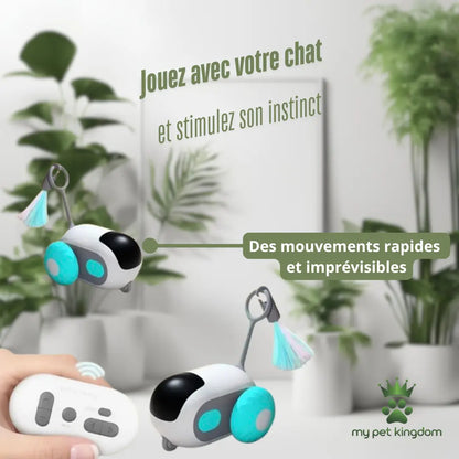 Jouet voiture télécommandée pour chat My Pet Kingdom